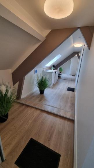 Les Chalets De Saumur, Piscine & Parc Boise, 100M Du Cadrenoir Rom bilde