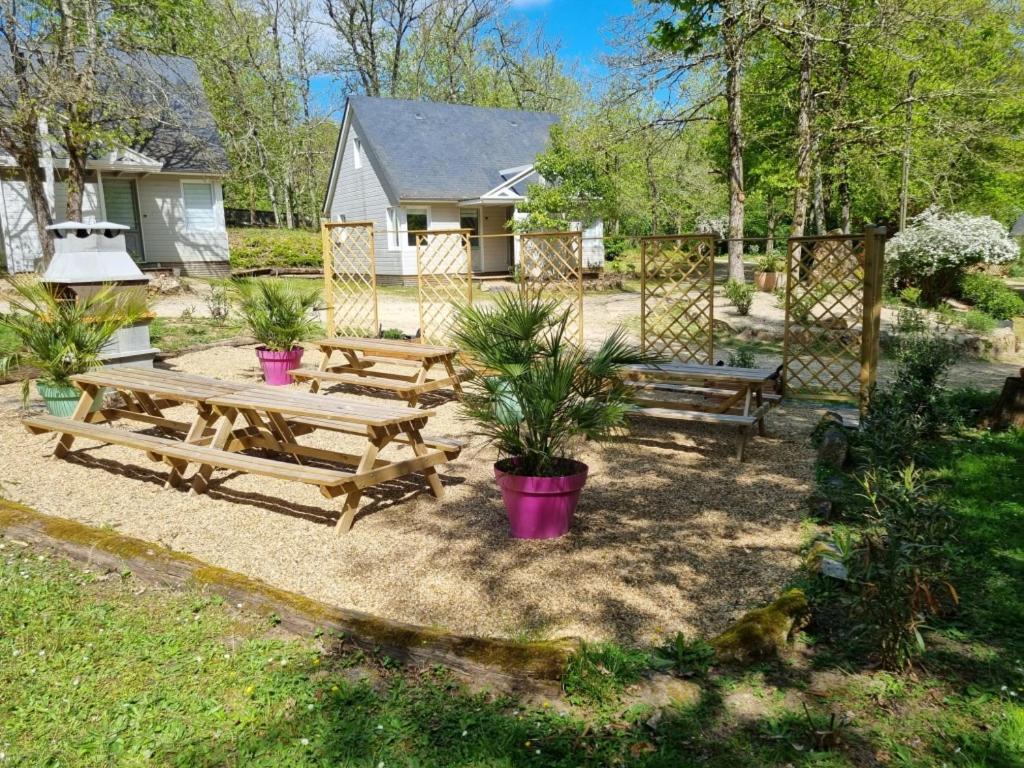 Les Chalets De Saumur, Piscine & Parc Boise, 100M Du Cadrenoir Eksteriør bilde