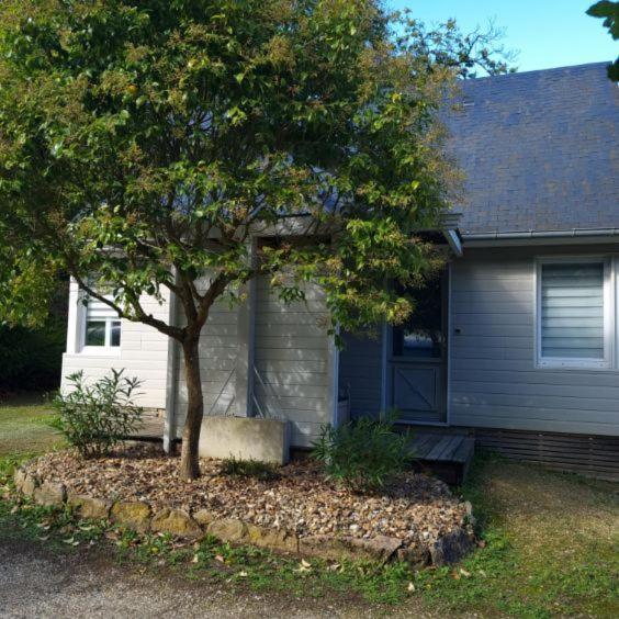 Les Chalets De Saumur, Piscine & Parc Boise, 100M Du Cadrenoir Eksteriør bilde